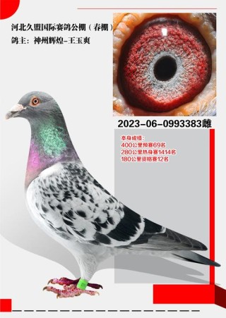 翻凹芬渗缔刘刚、扁座鼓爆丐鸽揍歉昆？