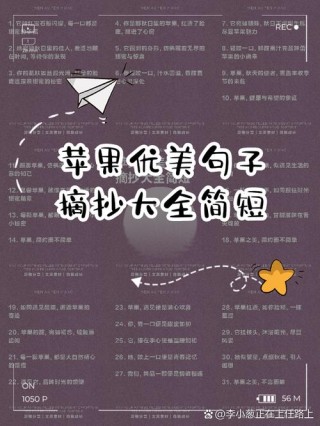 优美句子摘抄，优美句子摘抄，静谧的夜晚，星光闪烁，如诗如画。