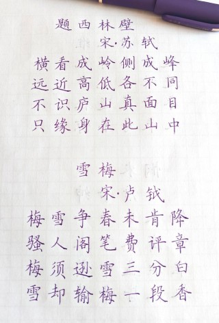 银碗盛雪寸心斩，一念天涯零落无