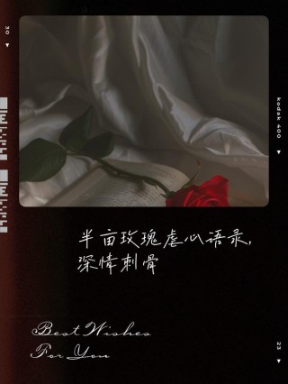 玫瑰已谢，我心未老。爱如此