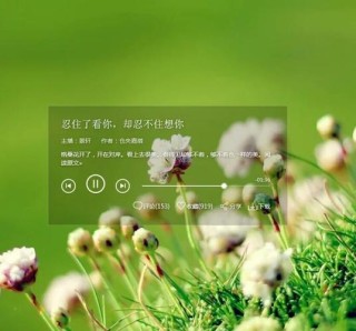 忍住了看你，却忍不住想你