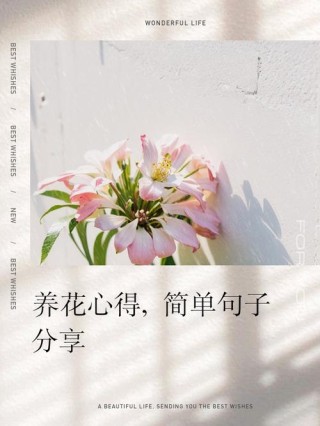 养花感悟—感恩