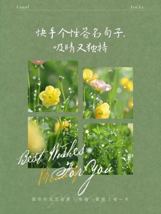 快手经典网红语录（快手网红句子）