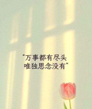 思念那些逝去的信任