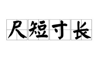 尺短寸长