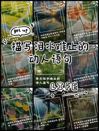 泪崩的语句面对生活的苦与泪（感动到自己的句子）