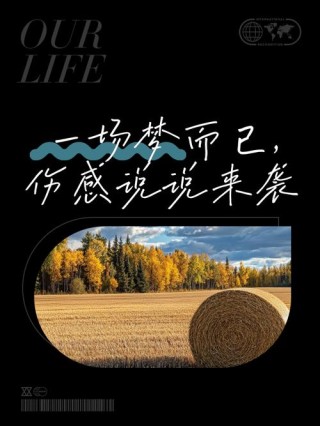 是梦啊……可是为何如此心酸呢……