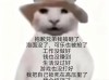 好好的一天又搞砸了……