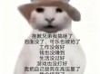 好好的一天又搞砸了……