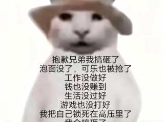 好好的一天又搞砸了……