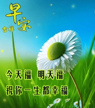 一天一句心情早安语，最经典的早上好祝福图片