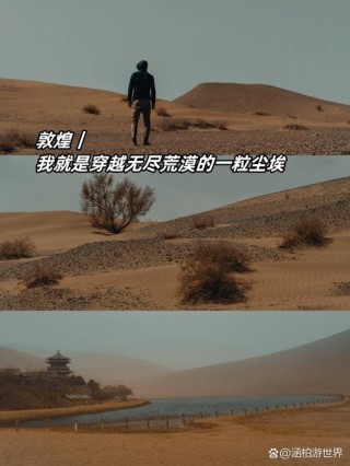 我是一颗小小的尘埃