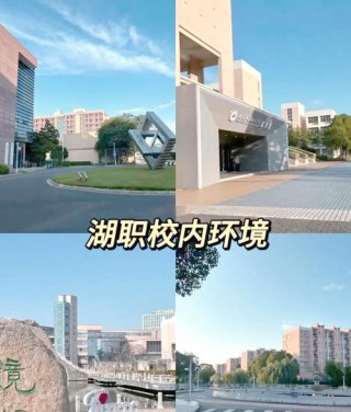 湖州有哪些职业技术学院