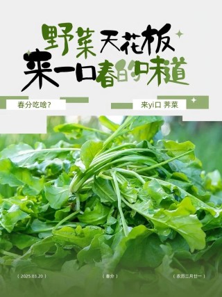 寻味 | 春食野菜，尝遍人间味
