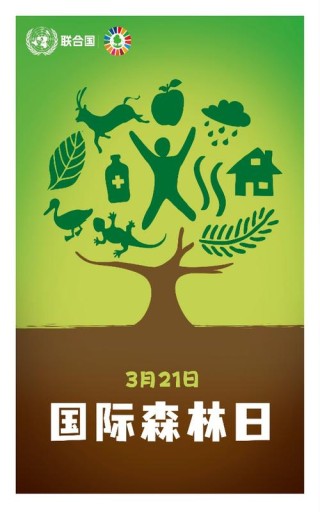 「世界森林日」守护“森”呼吸，爱护绿色家园，从点滴做起