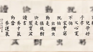 董卿：读书不苦，不读书才苦（建议收藏）