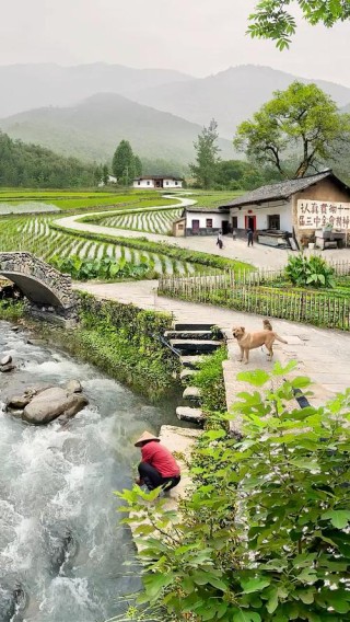 宁静的乡村夏日