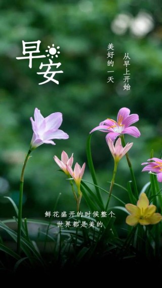 早安正能量简短的励志句子，致自己经典有内涵的早安说说