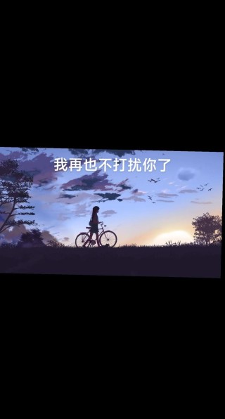 从此，我不再打扰你了，爱你，想你，只是在心里