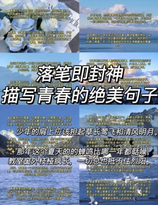 与青春有关的句子