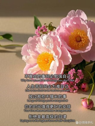 尝试自己不擅长的事