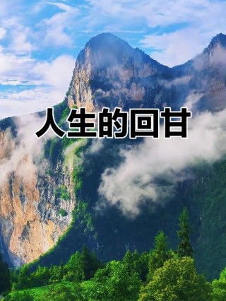 人生