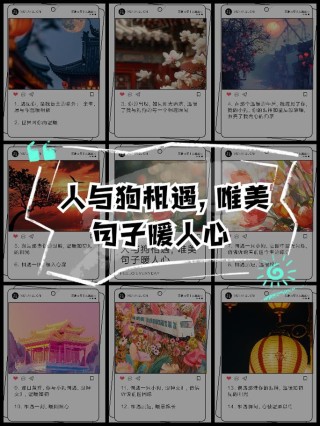 再相遇，请许我温暖相依