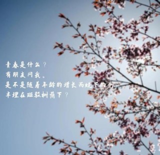 青春励志名言警句大全