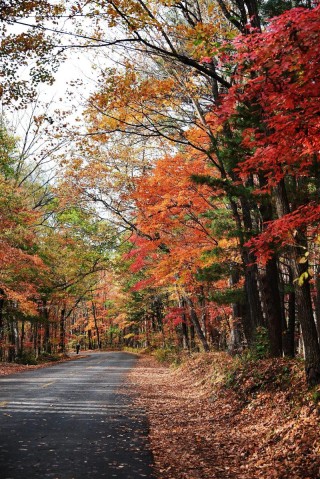 行走在金秋的故乡