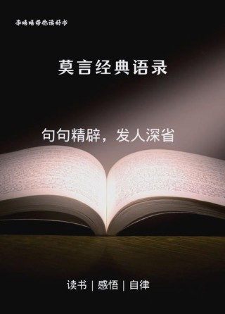 语录经典，经典语录，人生智慧与感悟的汇聚