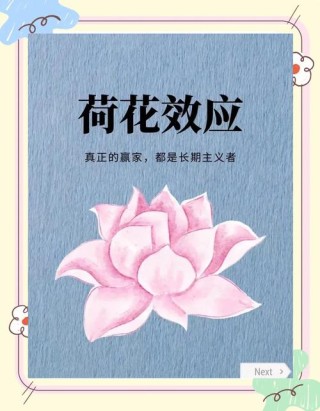 惊人的三大成功定律：荷花定律，竹子定律，金蝉定律