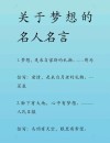 关于梦想的名言警句，梦想照亮前行的路，名言警句中的追梦智慧