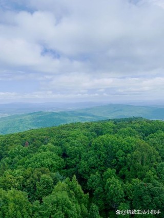 林海中的“大围”生活