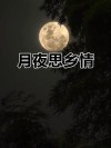月夜思绪翻飞