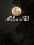 月夜思绪翻飞