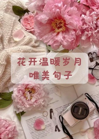 赏花的朋友圈怎么发 晒花草唯美说说句子推荐