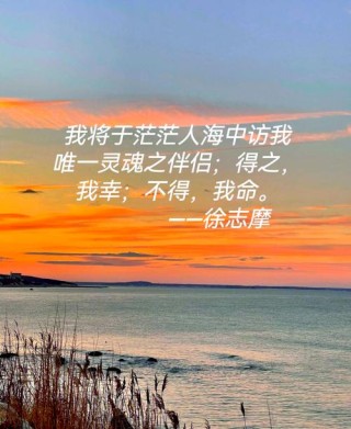 情人节语录浪漫简短，情人节浪漫简短语录