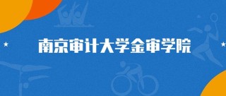 南京审计大学金审学院在广东录取分数线2025年是多少（2025~2023近三年分数位次）