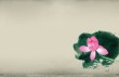 个性女孩昵称?个性女生昵称