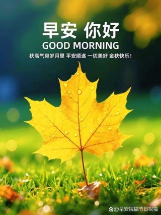 愿我的祝福，让你每天都会开心满怀，幸福常在，朋友，早安！