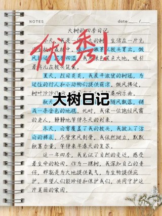 时光里的母亲树作文600字（时光里的母亲树作文500字）