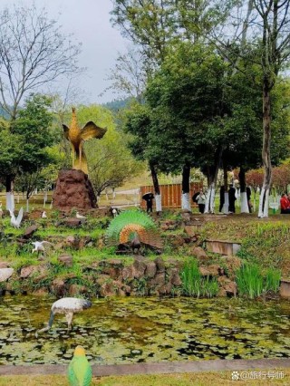 凤舞琼花，为伊而美丽