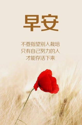 微信早晨最精辟的励志语录精选，总有一句激励你前行