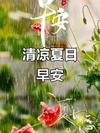 雨后适合发圈句子 雨后的清晨 空气清新 深呼吸一下 静静感受立夏之美