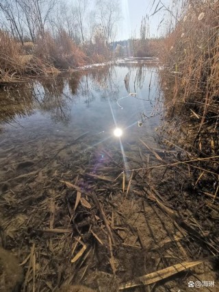 河流撒野的时候