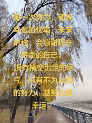 人生感悟的句子，走自己的道路，越努力越幸运