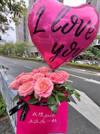 520 | 用数字堆积的情感