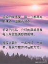收藏快乐的日常文案短句｜感受生活的慢节奏。