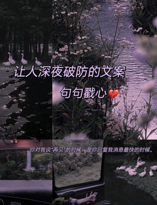 一个人硬扛的心酸文案｜“万家灯火都不是归宿。”