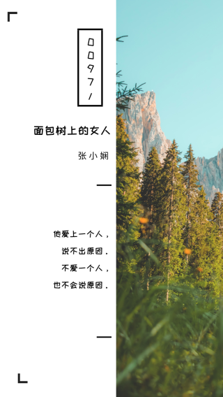摘抄 | 《面包树上的女人》经典语录名句，韵味无穷